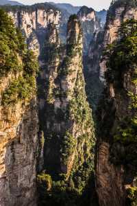為了張家界的雲霧山景，我租車追了300公里
