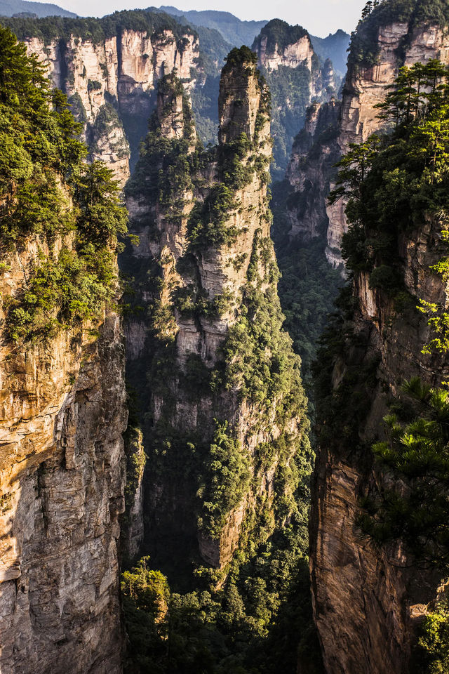 為了張家界的雲霧山景，我租車追了300公里