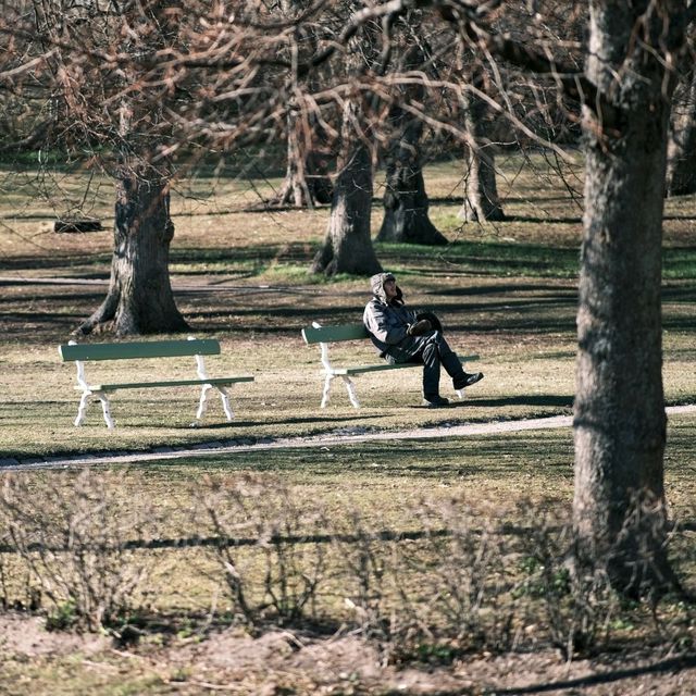 🏝️ Suomenlinna: Island Life Among the Old Brick Walls
