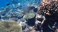 Most Beautiful Holiday in the Maldives