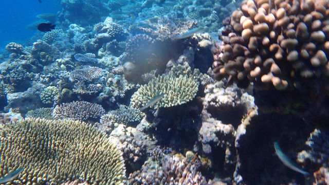 Most Beautiful Holiday in the Maldives