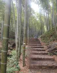 宜興.陶都竹洞天三日遊旅行攻略，預算600元，玩到嗨！