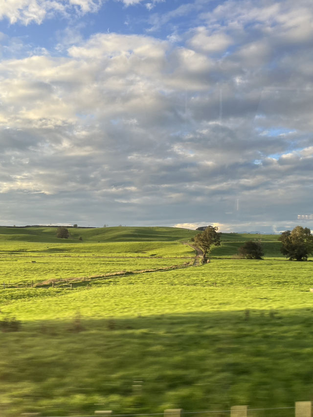 🇳🇿Green Dragon Inn, Auckland: Where Golden Sunsets Meet Enchanted Gardens! 🌅 