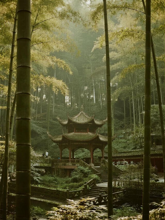 畢棚溝深度遊指南｜避開人潮，獨享秋日秘境攻略