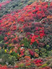 石門坊賞紅葉，邂逅秋日浪漫