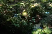 青森旅行DAY3