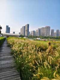 南京江心洲遛娃|真的已經到了next level