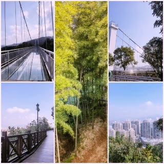 The fairy-tale glass plank road in Jian'ou is actually free?! A high-altitude bamboo forest walking guide