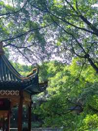 歡迎來鵝嶺公園遊玩打卡