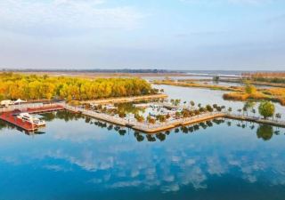The frosty scenery of Weishan Lake, where the richness and subtlety of autumn are poetic