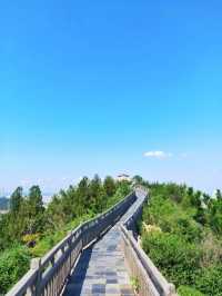 藏在大連市區的百年海防秘地！炮臺山遺址深度漫遊指南