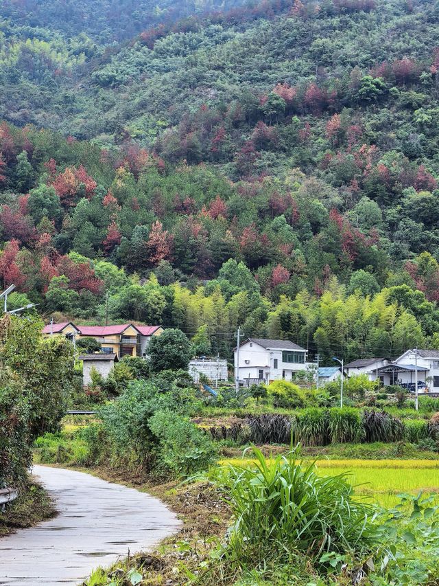 去長沙北山徒步卻被天氣"放鴿子"是什麼體驗? 去長沙北山徒步卻被天氣"放鴿子"是什麼體驗?