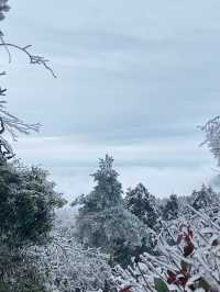 冰雪廬山!霧淞雲海仙境小眾機位全揭秘