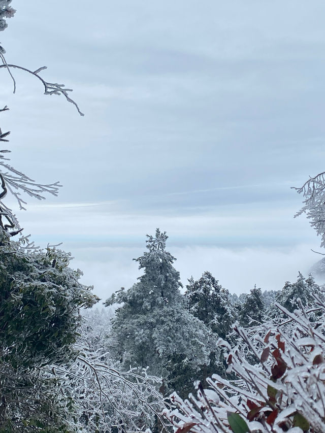 冰雪廬山!霧淞雲海仙境小眾機位全揭秘 冰雪廬山!霧淞雲海仙境小眾機位全揭秘