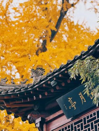 Chang'an Autumn Scenery Guide