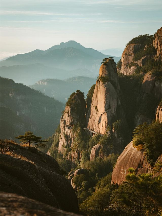 莆田遛娃!免費看金色油菜花海車直達超省心 莆田遛娃!免費看金色油菜花海車直達超省心