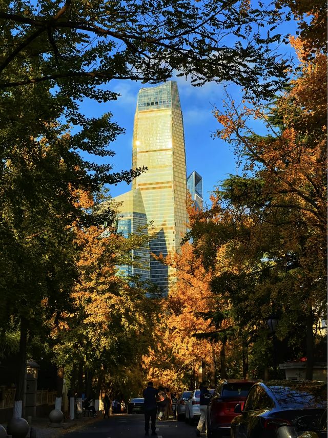 青島秋冬:闖進漫畫裡的治癒幀 青島秋冬:闖進漫畫裡的治癒幀