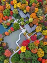 秋天的調色盤打翻在雲平山|小眾秘境等你來探