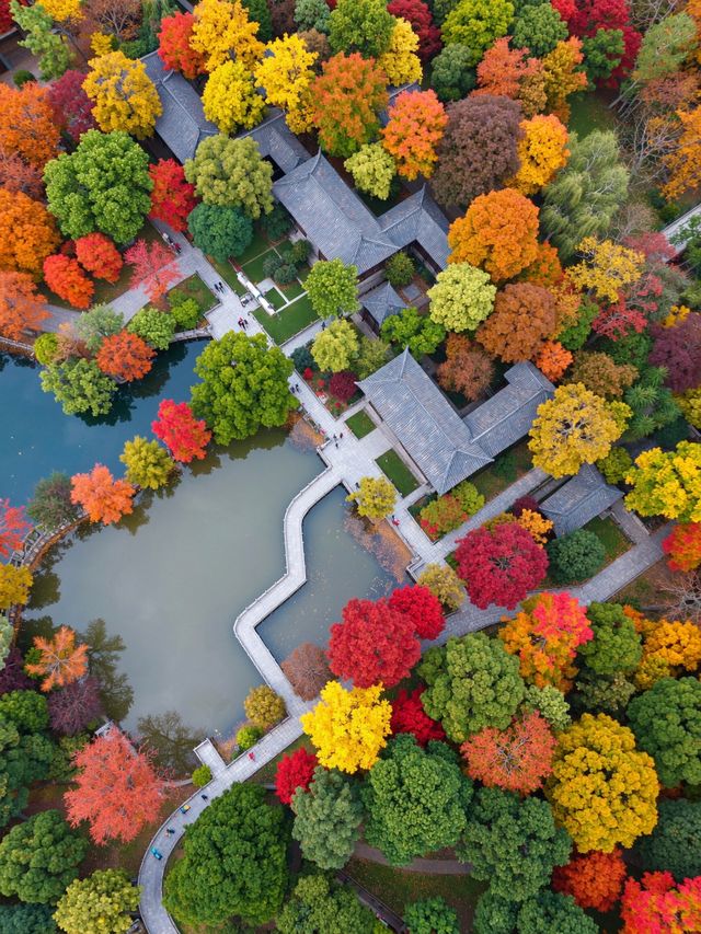 秋天的調色盤打翻在雲平山|小眾秘境等你來探 秋天的調色盤打翻在雲平山|小眾秘境等你來探