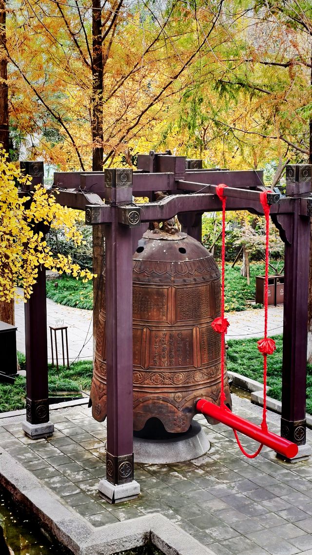 秋日去小雁塔感受歷史的厚重與自然和諧交融吧