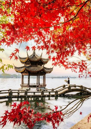 A window frames the bright autumn moon over West Lake, and half a couch carries the fragrance of osmanthus for ten miles