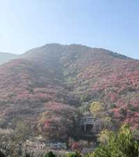 濟南賞秋之紅葉谷