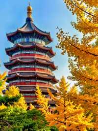 甘肅私藏！天水才是絲路真寶藏，彩林+千年人文美到失語