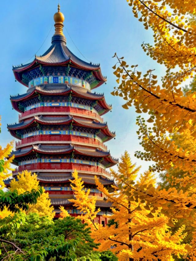 甘肅私藏！天水才是絲路真寶藏，彩林+千年人文美到失語