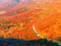 天津周邊秋色封神！魯家峪8km新手徒步路線，風景美到失語