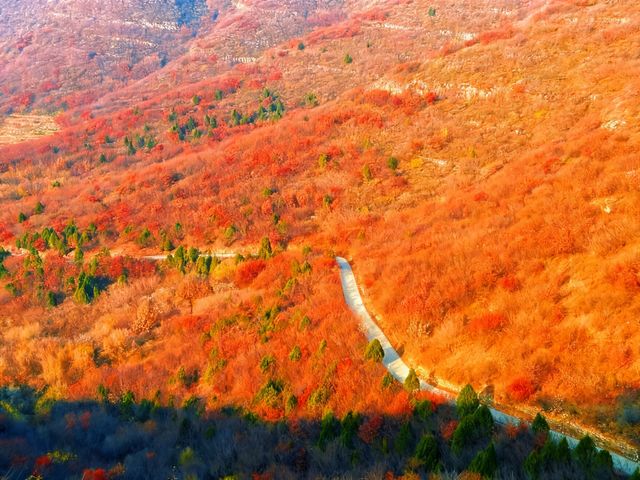 天津周邊秋色封神！魯家峪8km新手徒步路線，風景美到失語