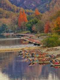 武夷山秋日秘境，美到窒息的旅行攻略