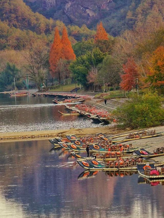 武夷山秋日秘境，美到窒息的旅行攻略