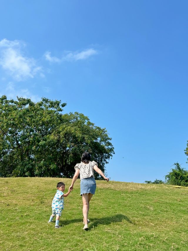 千島湖植物園 2歲寶寶也能走的徒步路線