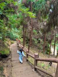 帶娃吸氧去!成都1.5h直達的森林徒步路線