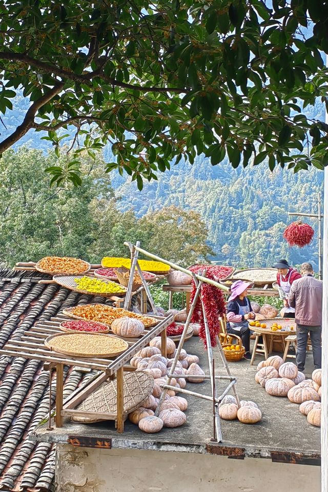 醉美篁嶺曬秋攻略