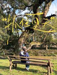 從深圳出發，三天自駕湖南郴州韶關