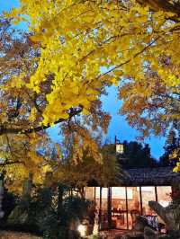 武安出差黨必睇！