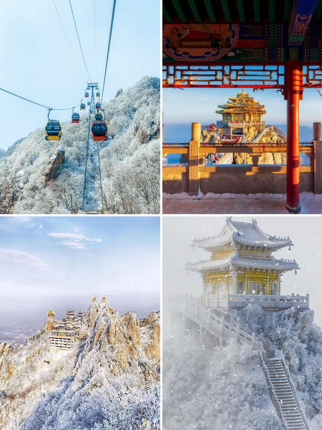 下雪後的老君山直接美成雲頂仙宮！！