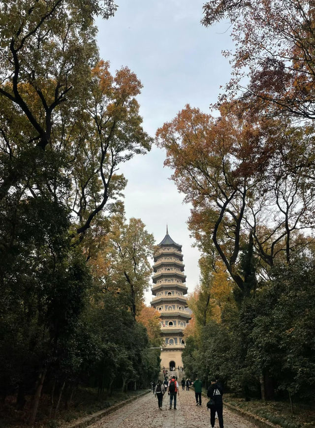 南京5年打工人的超濃縮攻略本地人帶你玩轉六朝古都