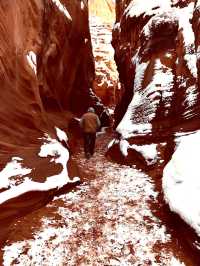 不趕路暢玩國家公園!美西定制包車路線可調