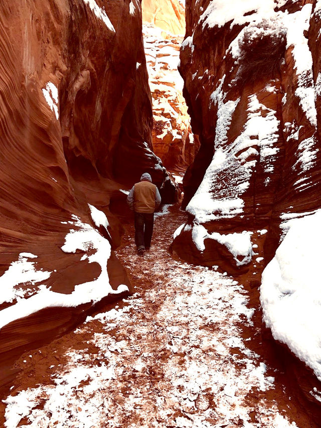 不趕路暢玩國家公園!美西定制包車路線可調 不趕路暢玩國家公園!美西定制包車路線可調
