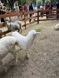 佛山 / 嶺南天地