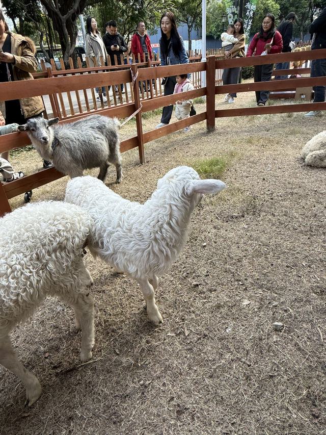佛山 / 嶺南天地 佛山 / 嶺南天地