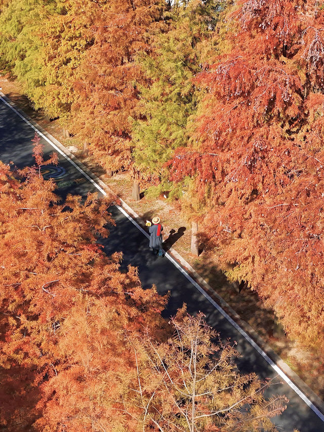 南京99%的人都不知道這裡， 出片還人少