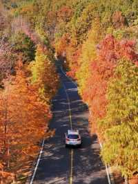 南京99%的人都不知道這裡， 出片還人少