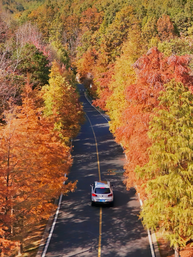 南京99%的人都不知道這裡， 出片還人少
