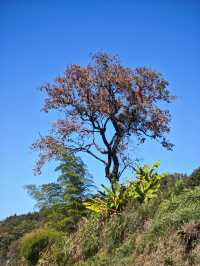 在婺源的冬日裡，遇見一家能曬陽玩陶的治癒民宿｜近弦高古城3公