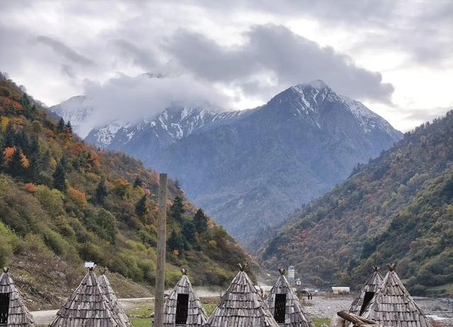 平武沙棘溝彩林形成了,付攻略! 平武沙棘溝彩林形成了,付攻略!