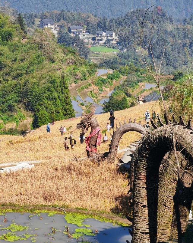 雲和梯田 雲和梯田