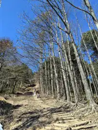 四明山十字褲徒步 上海-餘姚